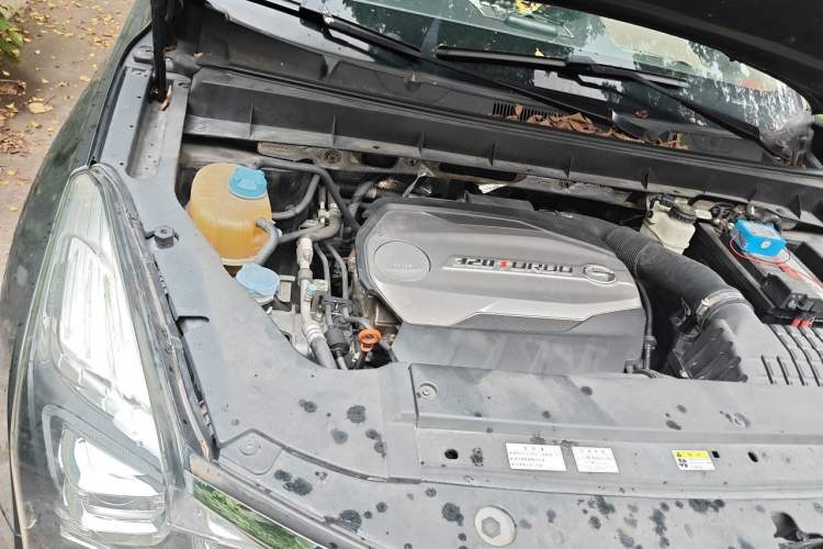Used GAC Trumpchi GS8 2017 320T Two-Wheel Drive Luxury Smart Connectivity Version (7 Seats) Engine Bay Right