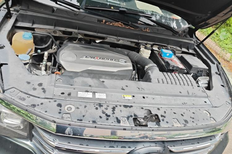 Used GAC Trumpchi GS8 2017 320T Two-Wheel Drive Luxury Smart Connectivity Version (7 Seats) Engine Bay