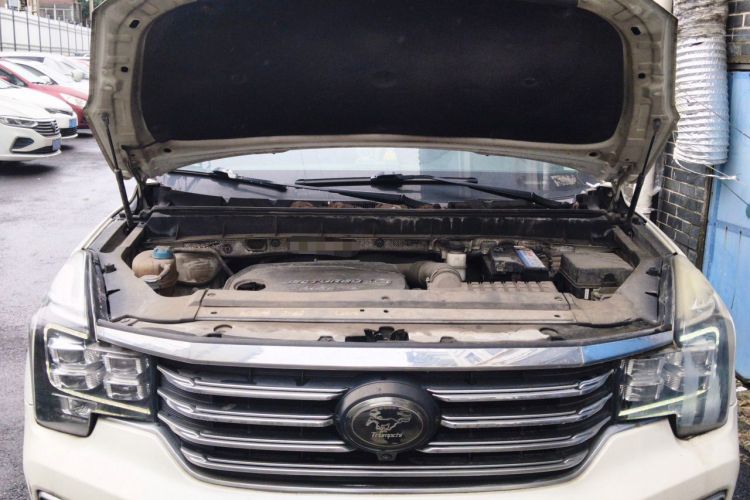 Used GAC Trumpchi GS8 2017 320T Two-Wheel Drive Luxury Smart Connectivity Version (7 Seats) Engine Bay