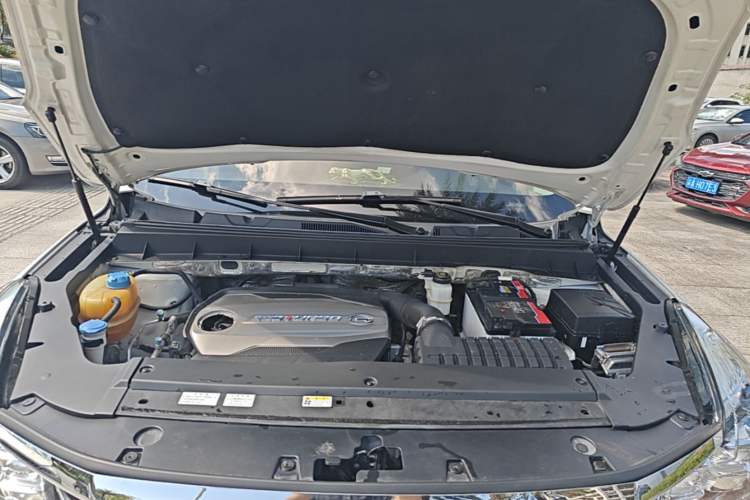 Used GAC Trumpchi GS8 2017 320T Two-Wheel Drive Luxury Smart Connectivity Version (7 Seats) Engine Bay