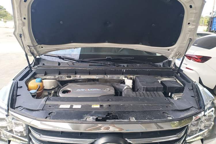 Used GAC Trumpchi GS8 2017 320T Four-Wheel Drive Luxury Smart Connectivity Version (7 Seats) Engine Bay