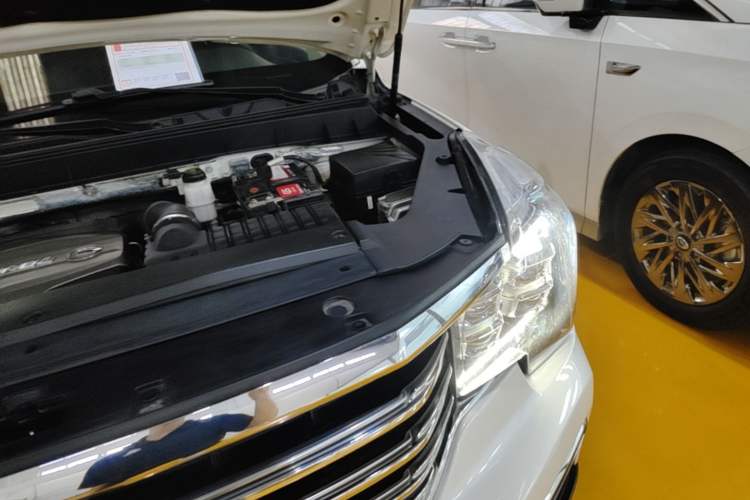Used GAC Trumpchi GS8 2017 320T Two-Wheel Drive Luxury Edition (7 Seats) Engine Bay Left