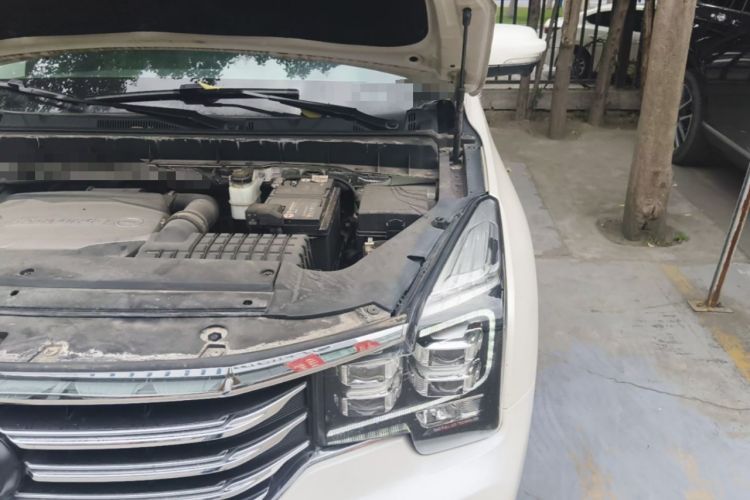 Used GAC Trumpchi GS8 2017 320T Two-Wheel Drive Luxury Smart Connectivity Version (7 Seats) Engine Bay Left
