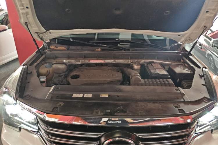 Used GAC Trumpchi GS8 2017 320T Two-Wheel Drive Luxury Smart Connectivity Version (7 Seats) Engine Bay