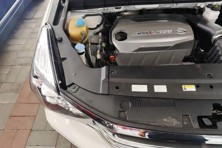 Used GAC Trumpchi GS8 2017 320T Two-Wheel Drive Luxury Smart Connectivity Version (7 Seats) Engine Bay Right