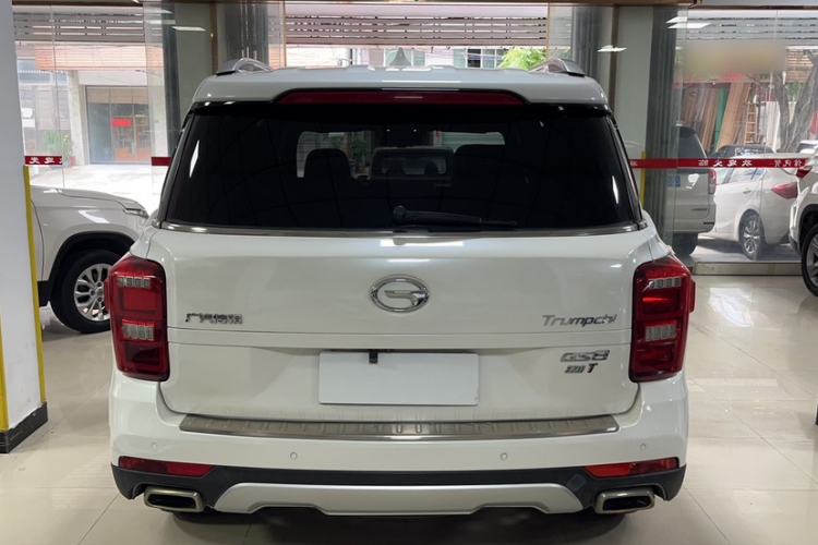 Used GAC Trumpchi GS8 2017 320T Two-Wheel Drive Luxury Smart Connectivity Version (7 Seats) Exterior 5