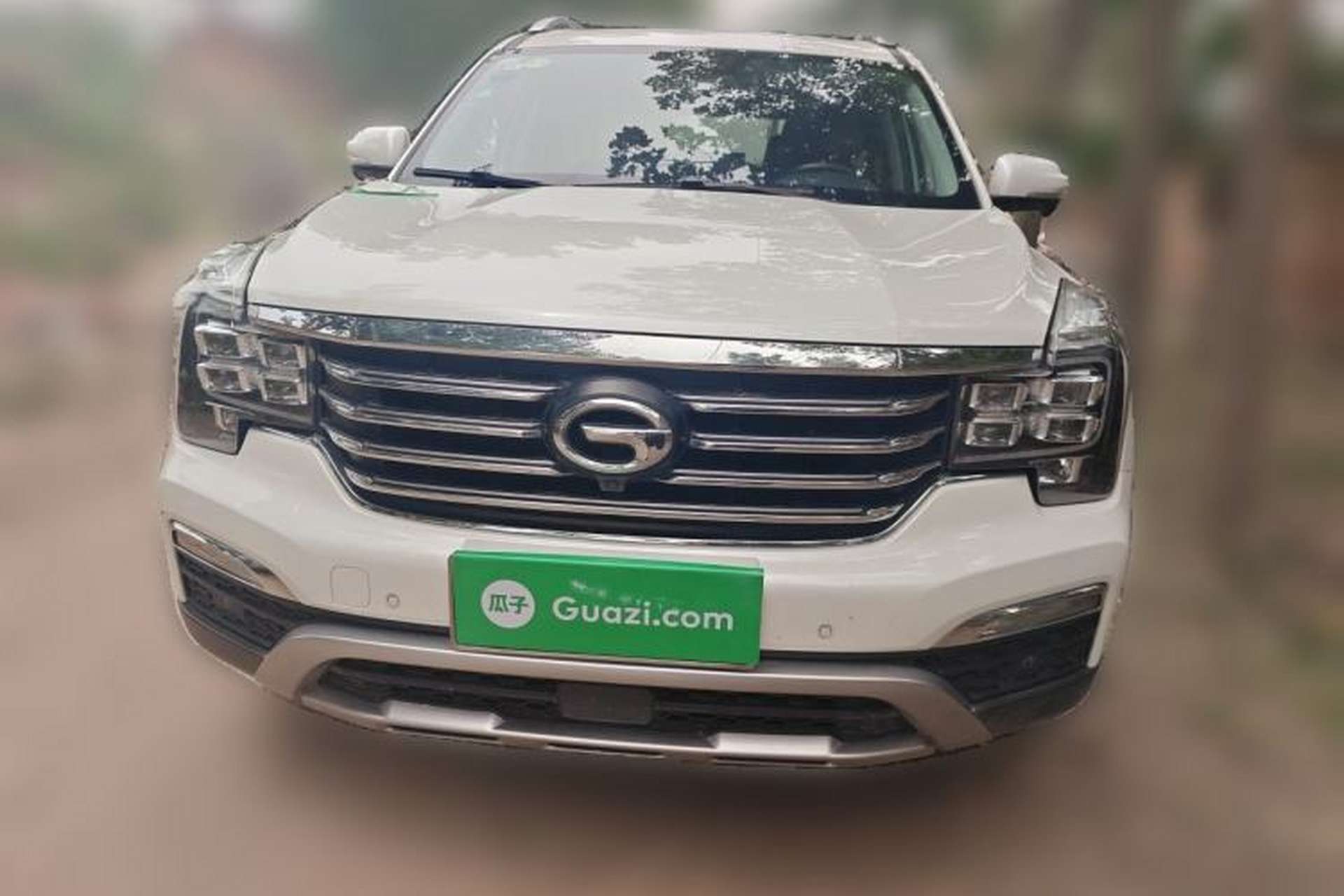 Used GAC Trumpchi GS8 2017 320T Two-Wheel Drive Luxury Smart Connectivity Version (7 Seats) Front
