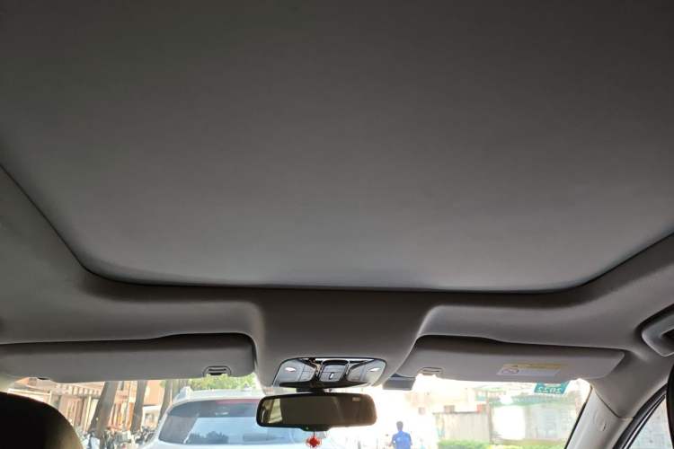 Used GAC Trumpchi GS8 2017 320T Two-Wheel Drive Luxury Smart Connectivity Version (7 Seats) Headliner