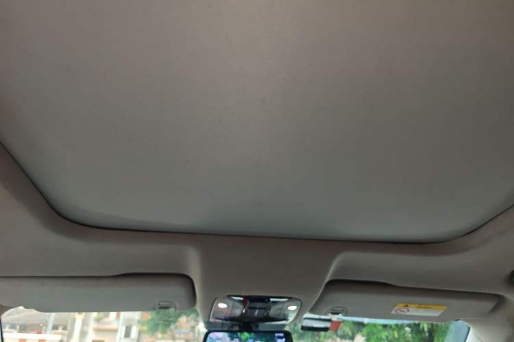Used GAC Trumpchi GS8 2017 320T Two-Wheel Drive Luxury Smart Connectivity Version (7 Seats) Headliner