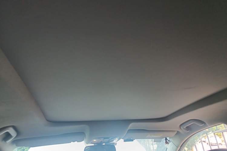Used GAC Trumpchi GS8 2017 320T Two-Wheel Drive Luxury Smart Connectivity Version (7 Seats) Headliner