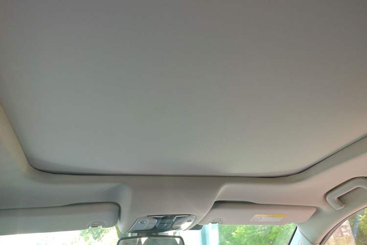 Used GAC Trumpchi GS8 2017 320T Two-Wheel Drive Luxury Smart Connectivity Version (7 Seats) Headliner
