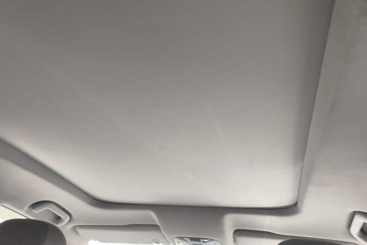 Used GAC Trumpchi GS8 2017 320T Two-Wheel Drive Luxury Smart Connectivity Version (7 Seats) Headliner