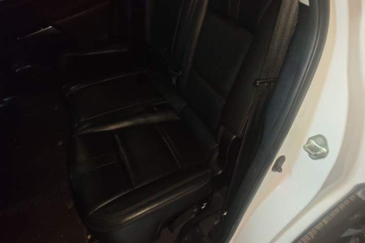 Used GAC Trumpchi GS8 2017 320T Two-Wheel Drive Luxury Smart Connectivity Version (7 Seats) Left Rear Seat