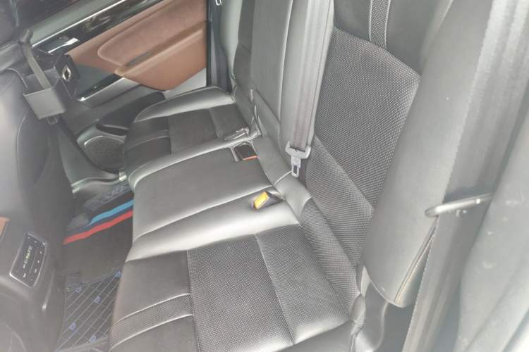 Used GAC Trumpchi GS8 2017 320T Two-Wheel Drive Luxury Smart Connectivity Version (7 Seats) Left Rear Seat