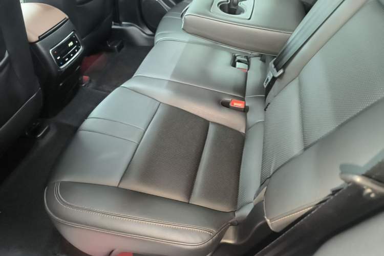 Used GAC Trumpchi GS8 2017 320T Two-Wheel Drive Luxury Smart Connectivity Version (7 Seats) Left Rear Seat