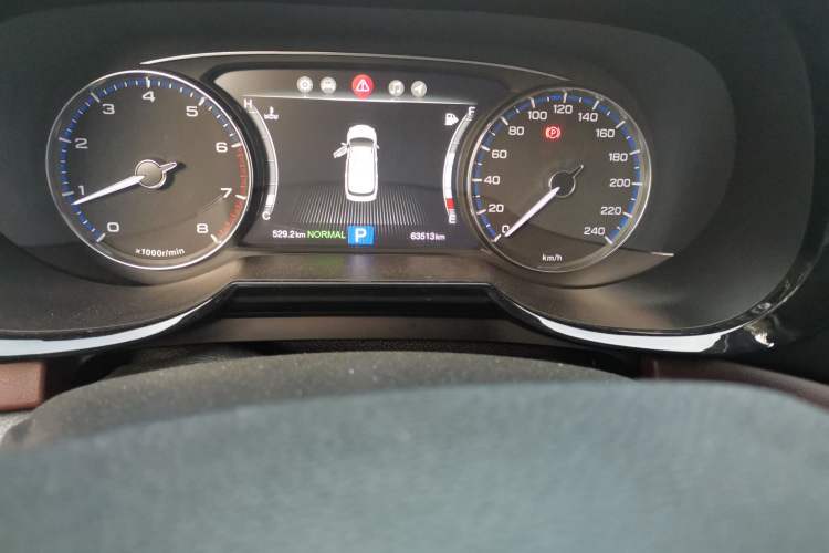 Used GAC Trumpchi GS8 2017 320T Two-Wheel Drive Luxury Smart Connectivity Version (7 Seats) Odometer Close Up