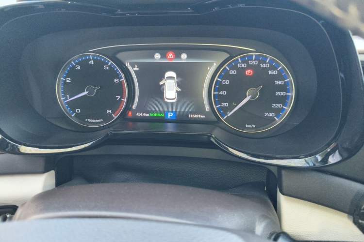Used GAC Trumpchi GS8 2017 320T Two-Wheel Drive Luxury Smart Connectivity Version (7 Seats) Odometer Close Up