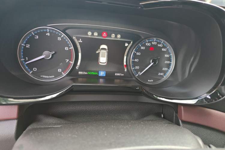 Used GAC Trumpchi GS8 2017 320T Two-Wheel Drive Luxury Smart Connectivity Version (7 Seats) Odometer Close Up