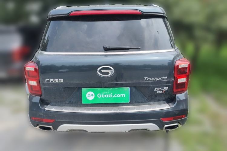 Used GAC Trumpchi GS8 2017 320T Two-Wheel Drive Luxury Smart Connectivity Version (7 Seats) Rear