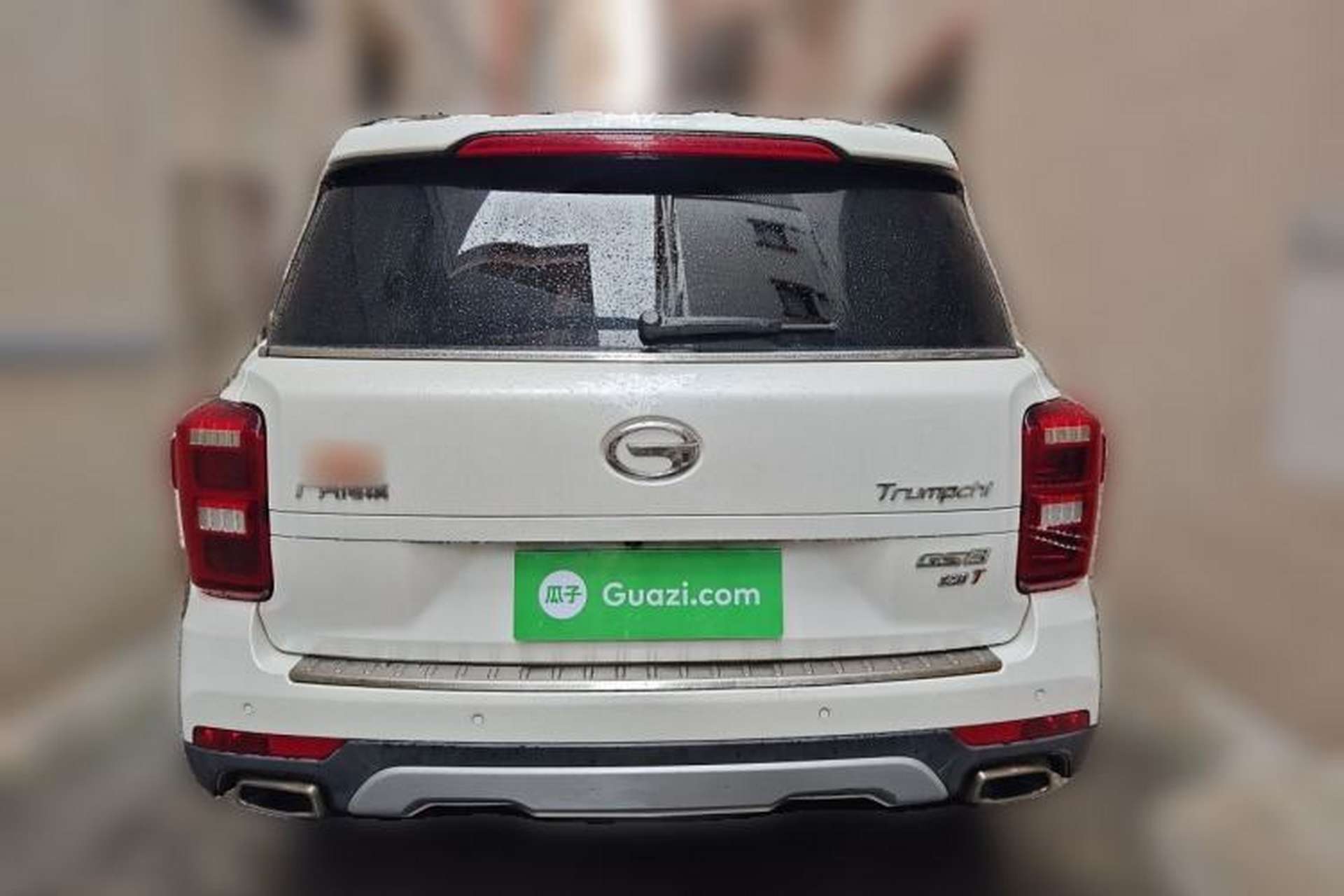 Used GAC Trumpchi GS8 2017 320T Two-Wheel Drive Luxury Smart Connectivity Version (7 Seats) Rear