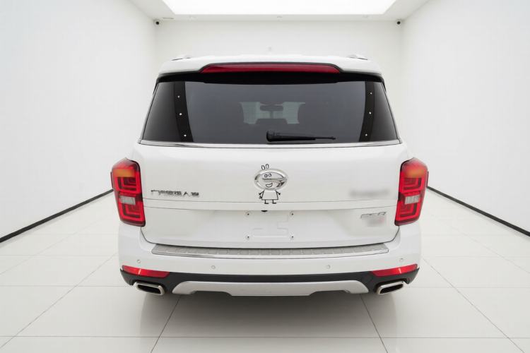 Used GAC Trumpchi GS8 2017 320T Two-Wheel Drive Luxury Smart Connectivity Version (7 Seats) Rear