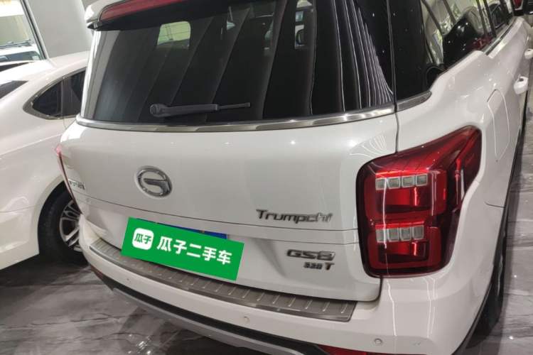 Used GAC Trumpchi GS8 2017 320T Two-Wheel Drive Luxury Edition (7 Seats) Rear