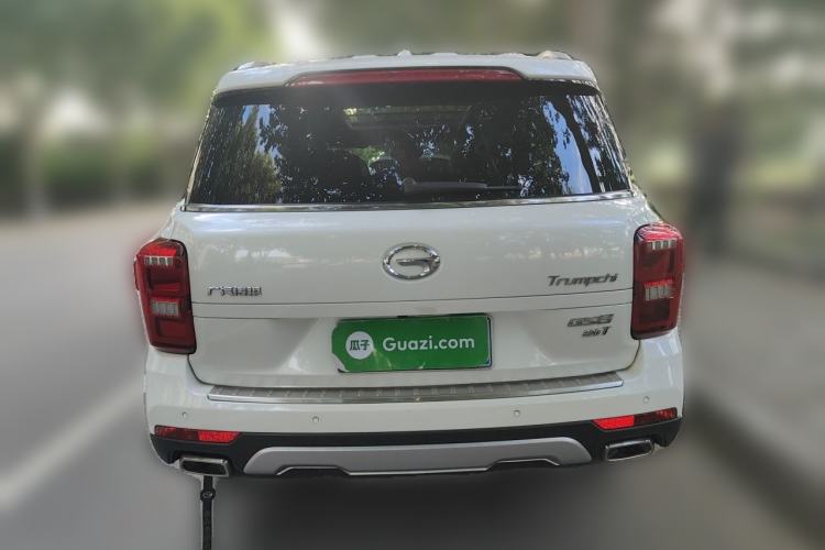 Used GAC Trumpchi GS8 2017 320T Two-Wheel Drive Luxury Smart Connectivity Version (7 Seats) Rear