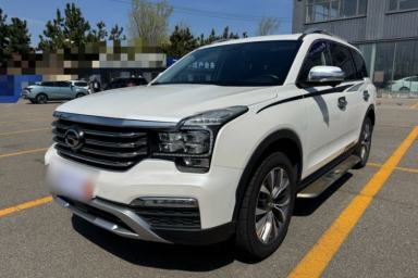 Used GAC Trumpchi GS8 2017 320T Four-Wheel Drive Luxury Smart Connectivity Version (7 Seats)