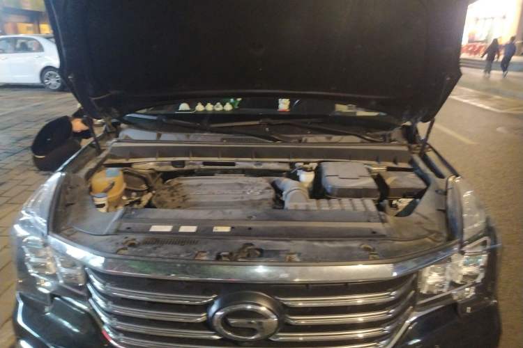 Used GAC Trumpchi GS8 2019 390T Two-Wheel Drive Luxury Smart Connectivity Version (7 Seats) Engine Bay