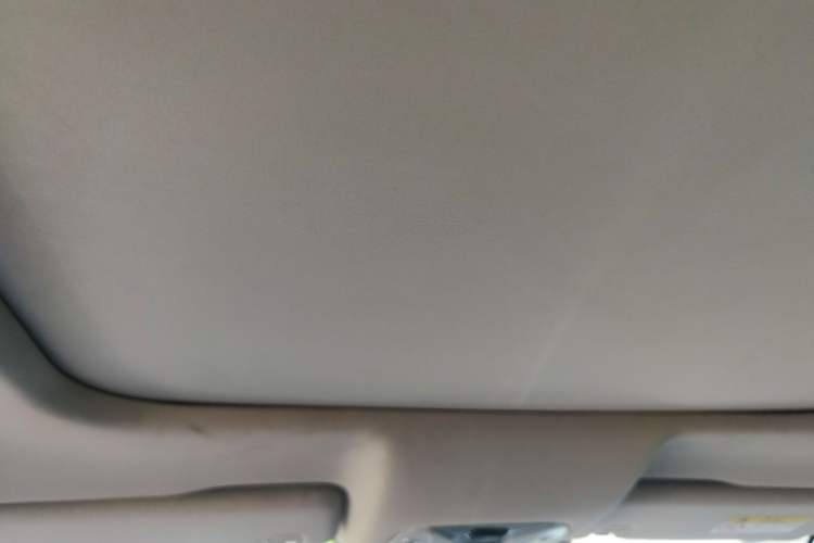 Used GAC Trumpchi GS8 2019 390T Two-Wheel Drive Luxury Smart Connectivity Version (7 Seats) Headliner