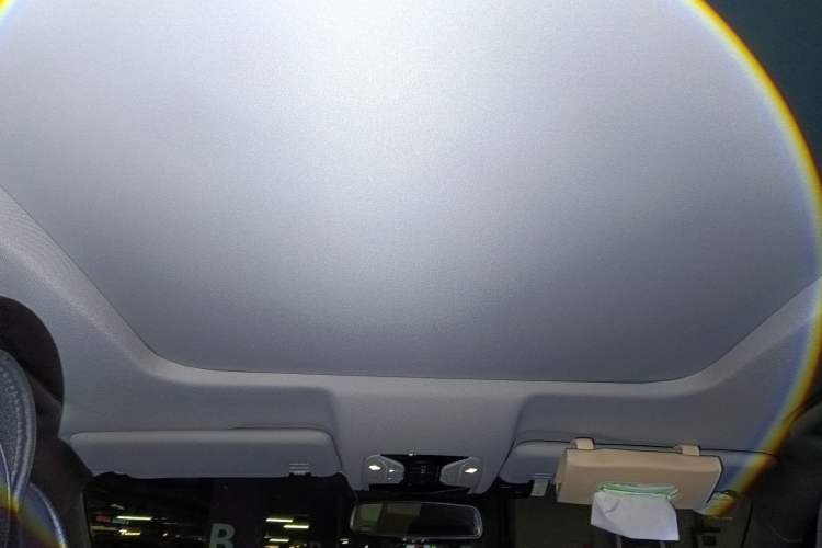 Used GAC Trumpchi GS8 2019 390T Two-Wheel Drive Luxury Smart Connectivity Version (7 Seats) Headliner