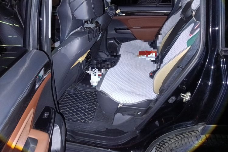 Used GAC Trumpchi GS8 2019 390T Two-Wheel Drive Luxury Smart Connectivity Version (7 Seats) Left Rear Seat