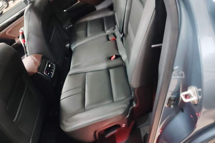 Used GAC Trumpchi GS8 2019 390T Two-Wheel Drive Luxury Smart Connectivity Version (7 Seats) Left Rear Seat