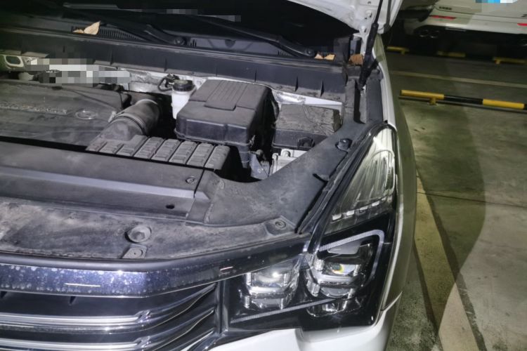 Used GAC Trumpchi GS8 2019 390T Two-Wheel Drive Luxury Smart Connectivity Version (7 Seats) Engine Bay Left