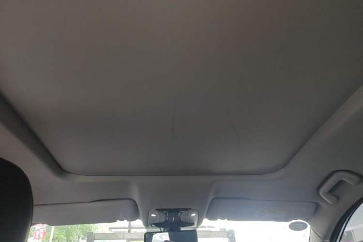 Used GAC Trumpchi GS8 2019 390T Two-Wheel Drive Luxury Smart Connectivity Version (7 Seats) Headliner