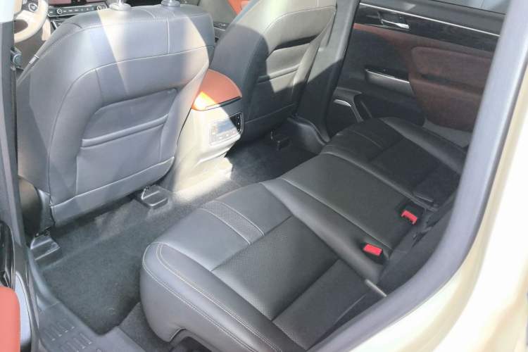 Used GAC Trumpchi GS8 2019 390T Two-Wheel Drive Luxury Smart Connectivity Version (7 Seats) Interior 2