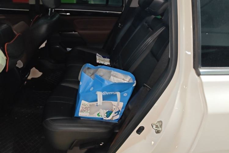 Used GAC Trumpchi GS8 2019 390T Two-Wheel Drive Luxury Smart Connectivity Version (7 Seats) Left Rear Seat