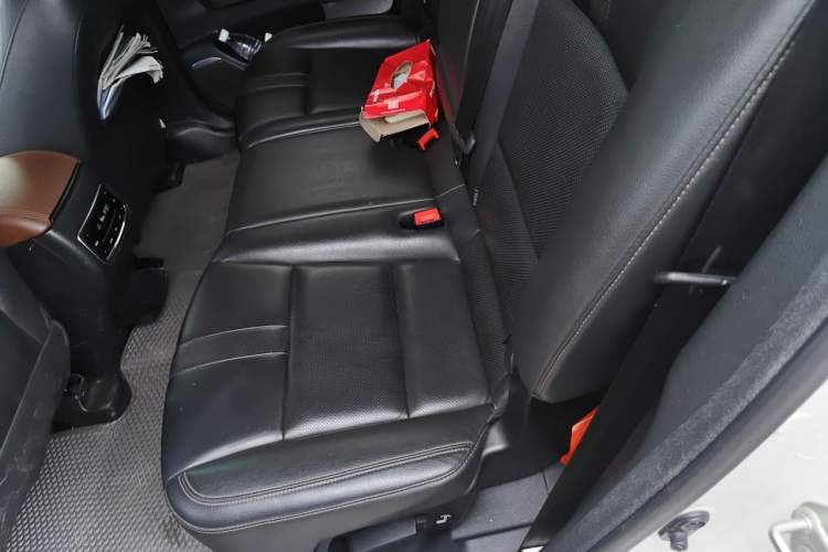 Used GAC Trumpchi GS8 2019 390T Two-Wheel Drive Luxury Smart Connectivity Version (7 Seats) Left Rear Seat