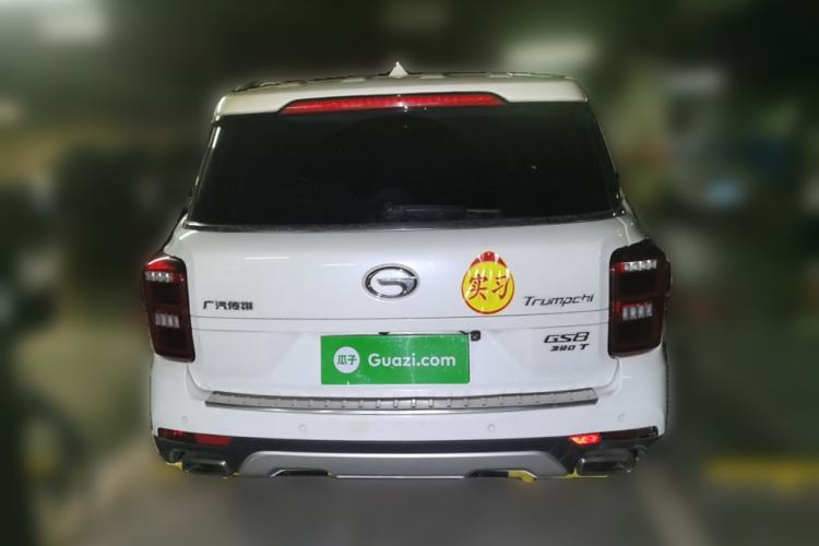 Used GAC Trumpchi GS8 2019 390T Two-Wheel Drive Luxury Smart Connectivity Version (7 Seats) Rear