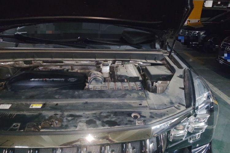 Used GAC Trumpchi GS8 2020 GS8S 390T Two-Wheel Drive Luxury Smart Connectivity Version Engine Bay Left