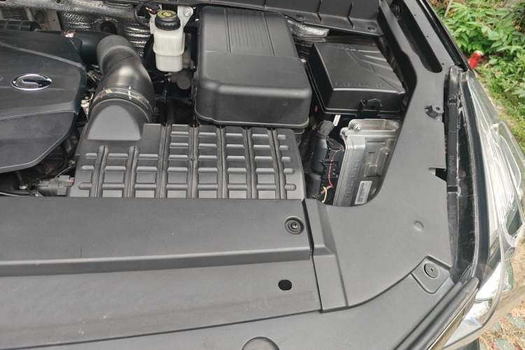 Used GAC Trumpchi GS8 2020 390T Two-Wheel Drive Luxury Smart Connectivity Version (7 Seats) Engine Bay Left