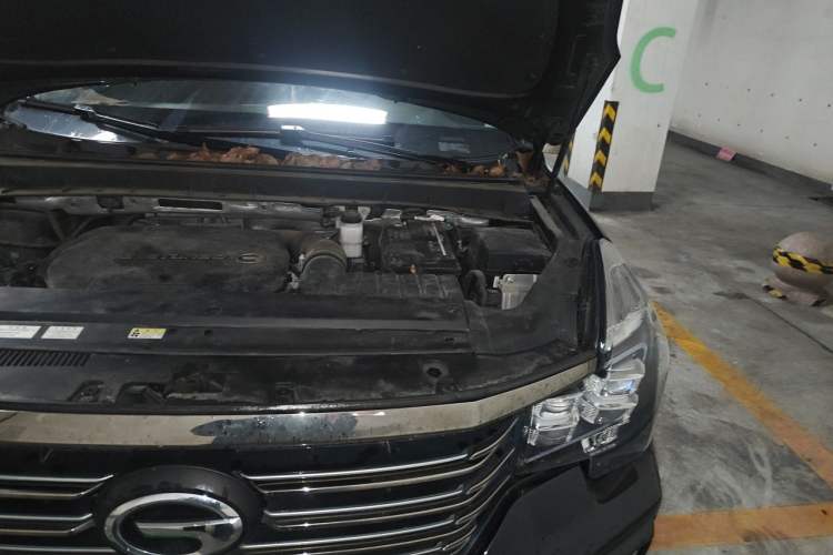 Used GAC Trumpchi GS8 2020 390T Two-Wheel Drive Luxury Smart Connectivity Commemorative Edition (7 Seats) Engine Bay Left