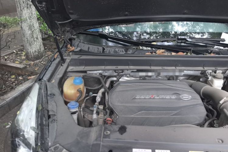 Used GAC Trumpchi GS8 2020 390T Two-Wheel Drive Luxury Smart Connectivity Commemorative Edition (7 Seats) Engine Bay Right