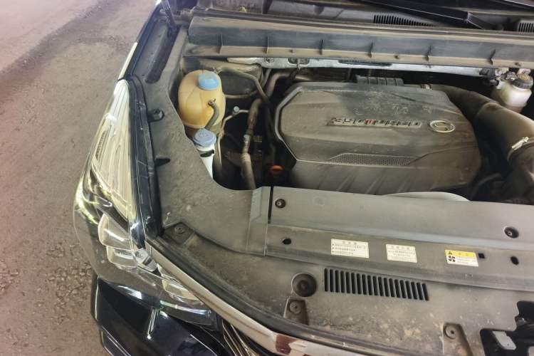 Used GAC Trumpchi GS8 2020 390T Two-Wheel Drive Luxury Smart Connectivity Version (7 Seats) Engine Bay Right