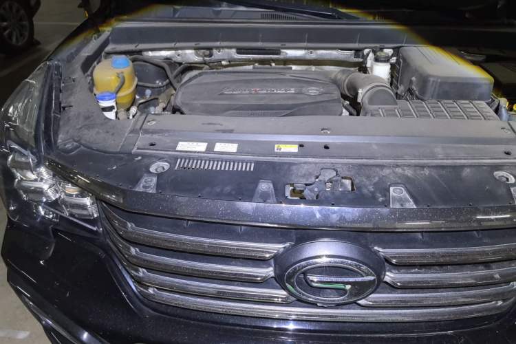 Used GAC Trumpchi GS8 2020 390T Two-Wheel Drive Luxury Smart Connectivity Version (7 Seats) Engine Bay Right