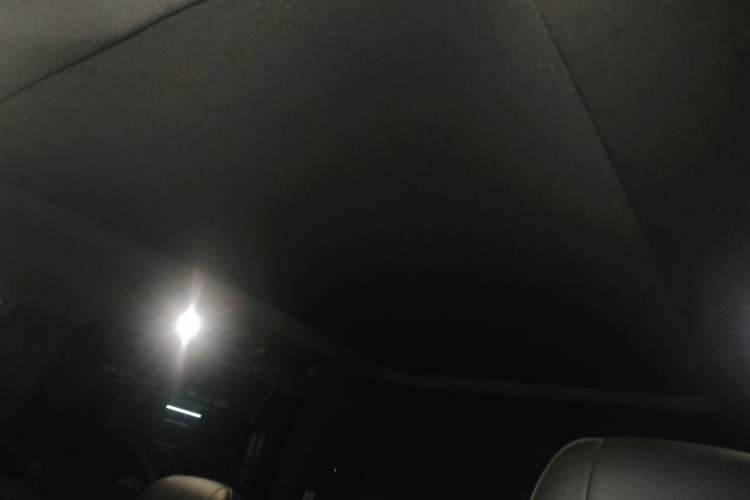 Used GAC Trumpchi GS8 2020 GS8S 390T Two-Wheel Drive Luxury Smart Connectivity Version Headliner