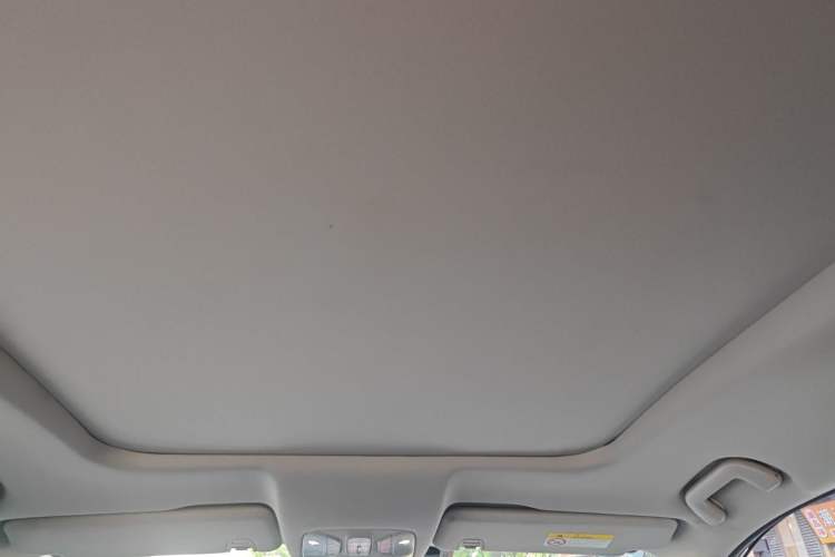 Used GAC Trumpchi GS8 2020 390T Two-Wheel Drive Luxury Smart Connectivity Version (7 Seats) Headliner