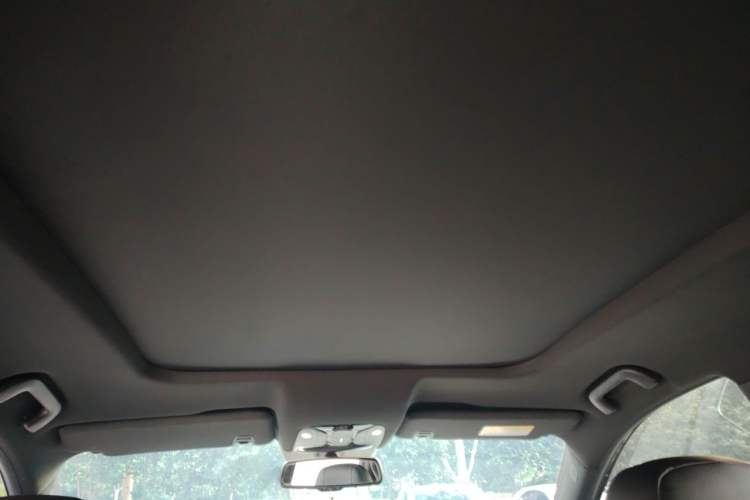 Used GAC Trumpchi GS8 2020 GS8S 390T Two-Wheel Drive Luxury Smart Connectivity Version Headliner