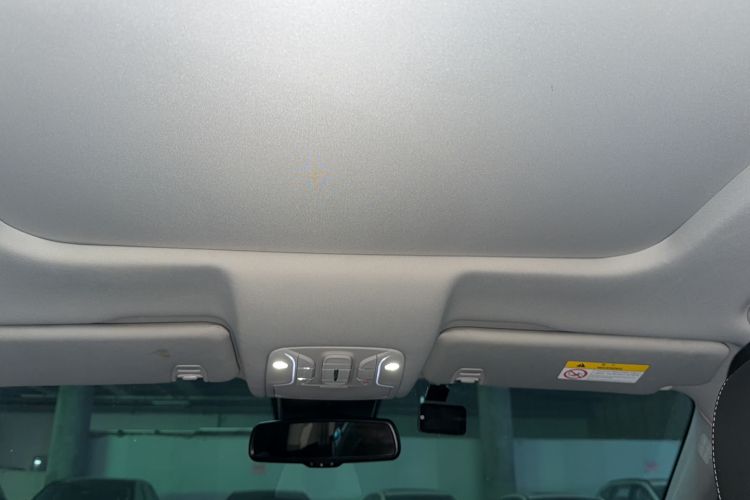 Used GAC Trumpchi GS8 2020 390T Two-Wheel Drive Prestige Version (7 Seats) Headliner