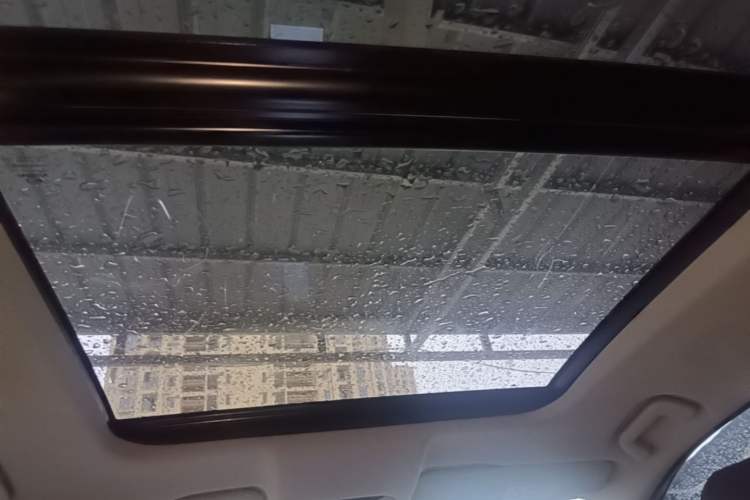Used GAC Trumpchi GS8 2020 GS8S 390T Two-Wheel Drive Luxury Smart Connectivity Version Headliner